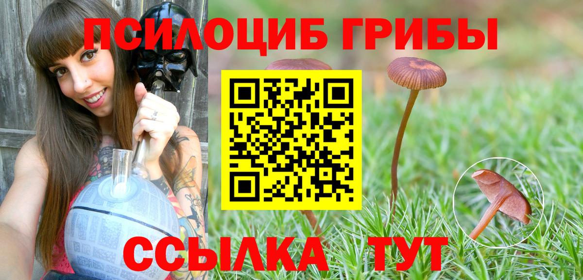 Галлюциногенные грибы Magic Shrooms  Вход с VPN  Знаменск 